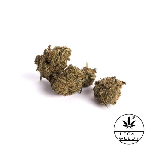 alexis haze cannabis light legal weed