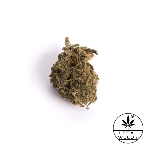 alexis haze cannabis light legal weed