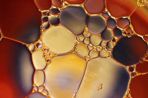 Cannabis CBD e THC facciamo un po di chiarezza