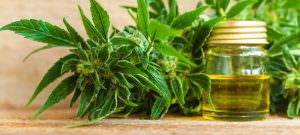 Curare il mal di schiena con la cannabis