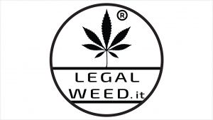 Cassazione cannabis light leciti la vendita e l’uso