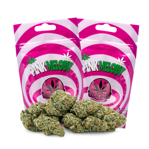 pink melody white