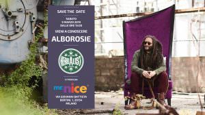alboroise blog