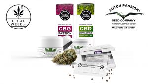 Dutch Passion & Legal Weed il meglio della Cannabis Light finalmente in Italia