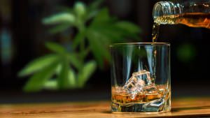 La-cannabis-mitiga-l-infiammazione-legata-all-alcol