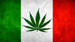Cannabis in parlamento nuove proposte Pd e M5S uniti sulla legalizzazione