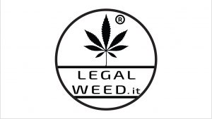 Legal Weed scrive al Presidente del Consiglio Conte e alla Ministra Grillo