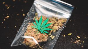 Cannabis Light dopo la circolare di Salvini i clienti tornano allo spaccio di strada