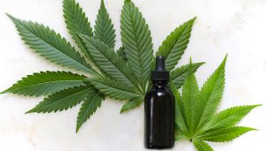 La vendita del CBD in Bulgaria è stata autorizzata dal governo