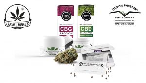 Legal Weed e Dutch Passion CBD nasce una nuova collaborazione