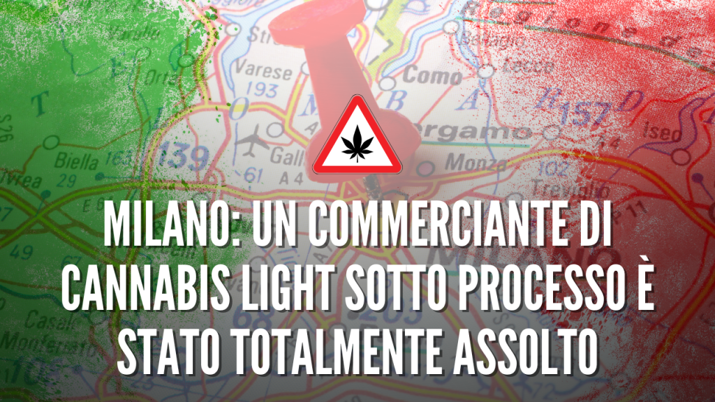 Milano un commerciante di cannabis light sotto processo &egrave; stato totalmente assolto