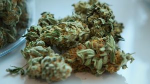 la cannabis che cura