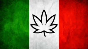 Droghe leggere legalizzate per lo Stato un risparmio tra 6 e 8 miliardi