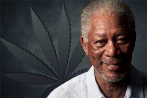 morgan freeman on marijuana