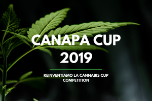 canapa cup2019 1