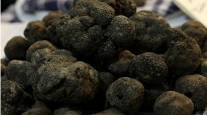 tartufo nero