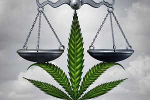 pot laws insert by bigstock