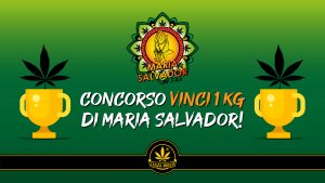 concorso j ax articolo 1