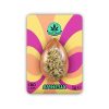 Legal Flower Amnesia
