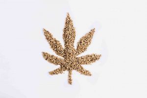 Semi di cannabis light