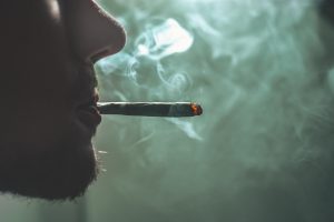 Spinello: dalle origini ad oggi