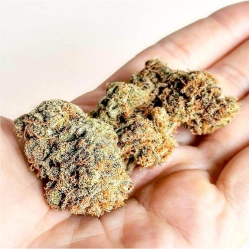 3 centofuochi legal weed cannabis light cbd cbg cbc store biological products premium quality