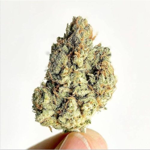4 centofuochi legal weed cannabis light cbd cbg cbc store biological products premium quality