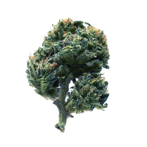 blue candy jure 2 legal weed cannabis flower light cbd cbg cbc store biological product premium quality