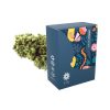 gazza tonic jure 1 legal weed cannabis flower light cbd cbg cbc store biological product premium quality