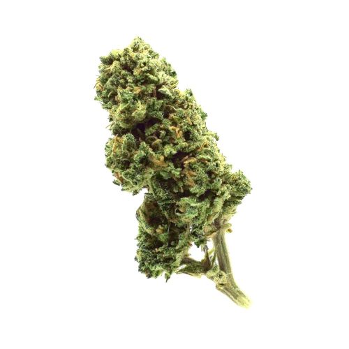 gazza tonic jure 2 legal weed cannabis flower light cbd cbg cbc store biological product premium quality