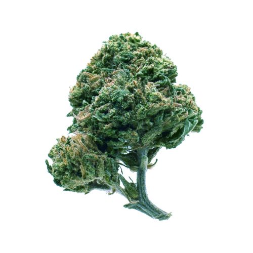 pineapple cake jure 2 legal weed cannabis flower light cbd cbg cbc store biological product premium quality