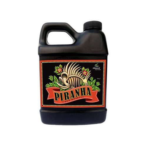 Piranha by legal weed