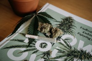Dove acquistare cannabis