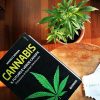 il futuro è verde canapa by legal weed