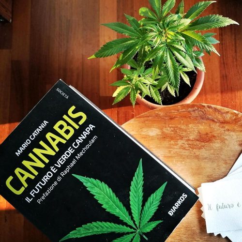 il futuro &egrave; verde canapa by legal weed