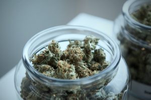 Conservare la cannabis