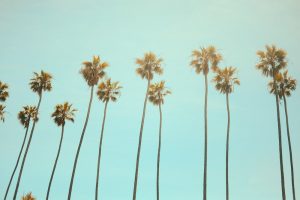 stagisti in california