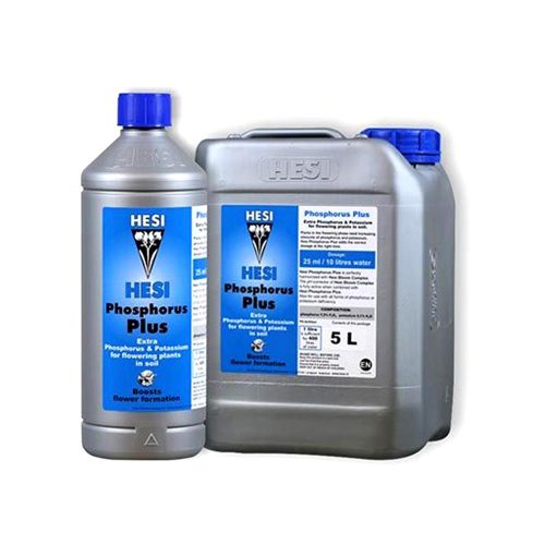 Phosphorus Plus Hesi