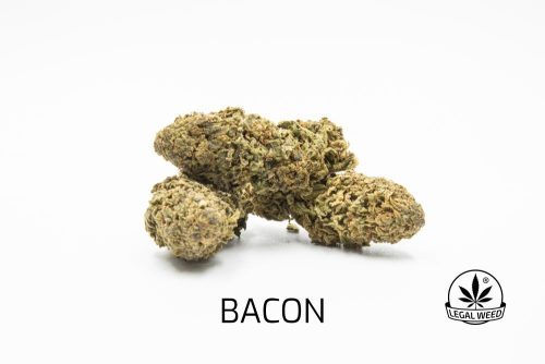 bacon