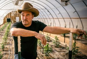 Jim Belushi