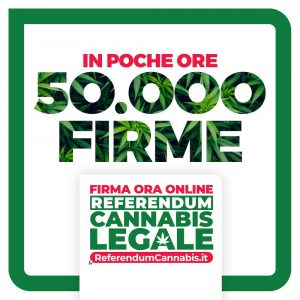 Referendum cannabis