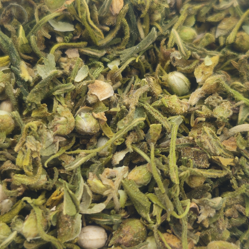 tisana di canapa