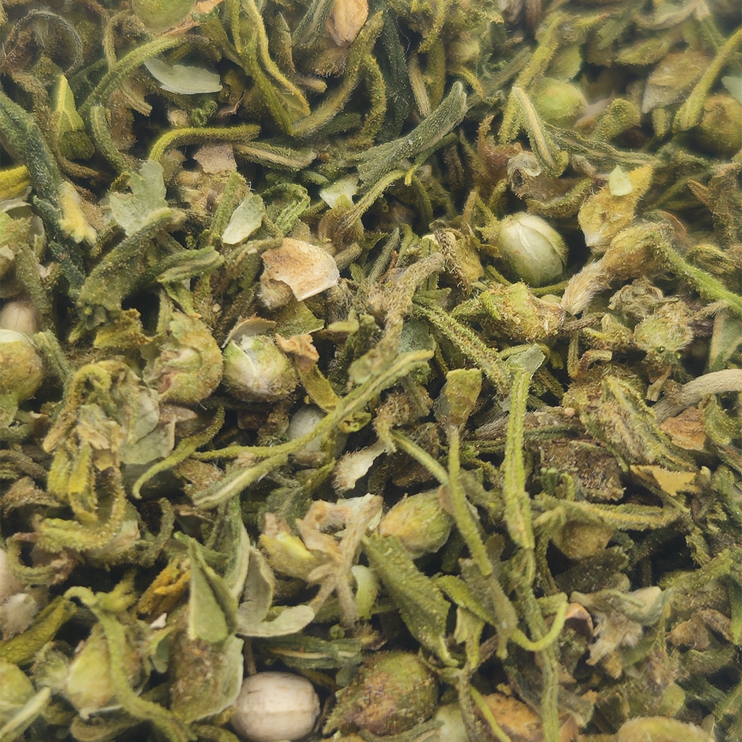tisana di canapa