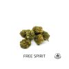 FREE SPIRIT