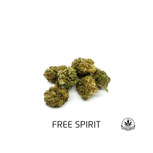 FREE SPIRIT