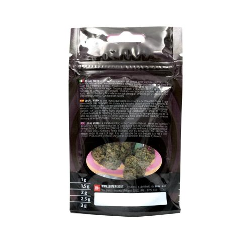 GOLDENAMNESIA_B