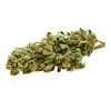 mary juana