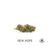 new hope