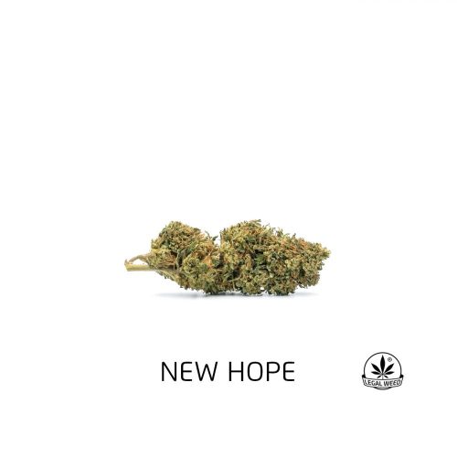 new hope