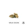 ninja skunk